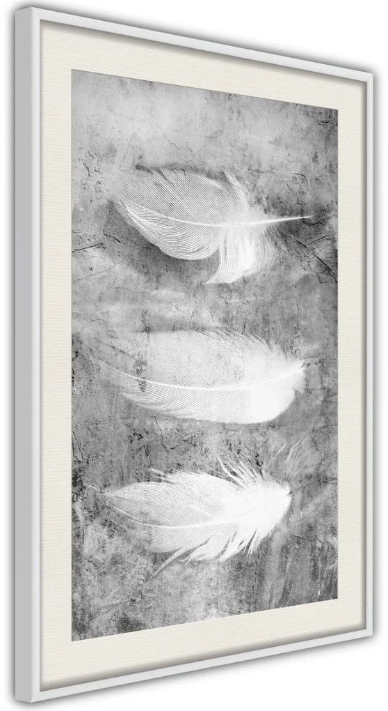 Αφίσα - Delicate Feathers - 20x30 - Χρυσό - Με πασπαρτού