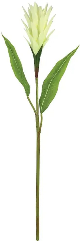 Τεχνητό Λουλούδι Αλπινία 00-10022-1 85cm Ecru-Green Marhome Πλαστικό, Ύφασμα