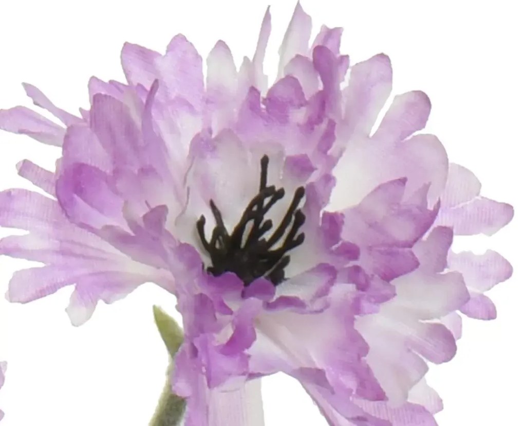 Beauty Home ΛΟΥΛΟΥΔΙ 68 CM