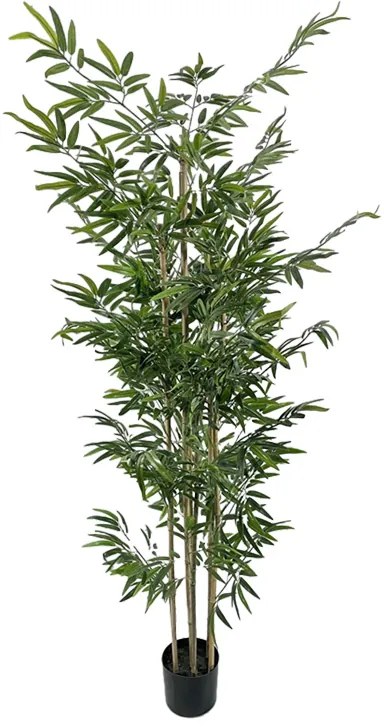 Διακοσμητικό φυτό Bamboo σε γλάστρα Inart πράσινο pp Υ190εκ