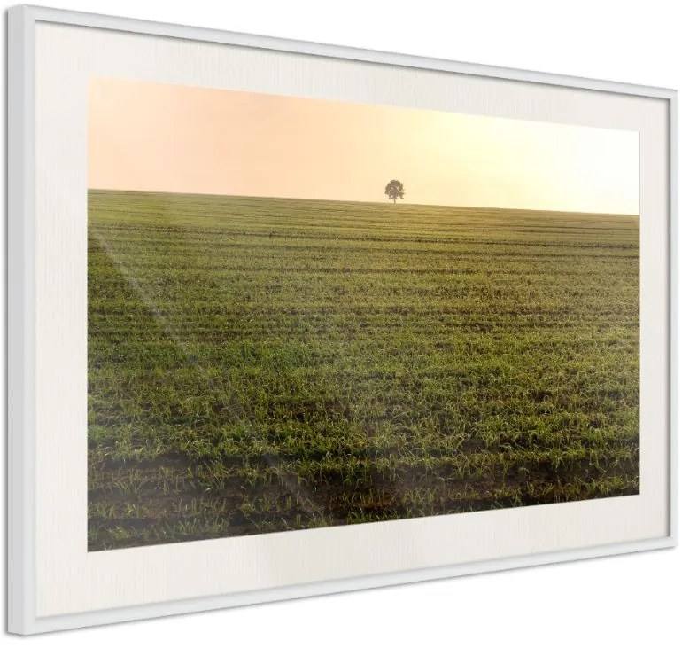 Αφίσα - Farmland - 60x40 - Μαύρο - Με πασπαρτού