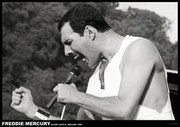 Αφίσα Freddie Mercury - Slane castle, Ireland 1996