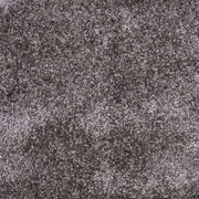 Μοκέτα Elite Anthracite Ns Carpets 400X...