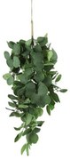 Τεχνητό Κλαδί Ευκάλυπτος 013.809186 60cm Green Πλαστικό