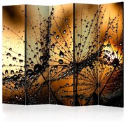 Διαχωριστικό με 5 τμήματα - Dandelions in the Rain II [Room Dividers] 225x172