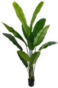 Supergreens Τεχνητό Δέντρο Πουλί του Παραδείσου "Strelitzia Nicolais" Πράσινο 210 εκ.