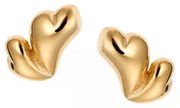 Σκουλαρίκια Senza Silver 925 Gold Plated