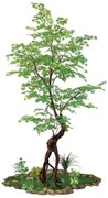 Artekko Ituh Τεχνητός Σφένδαμος 250cm Artekko 6-0089