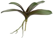 Foliage - Branch SILK-KA φύλλο ορχιδέας 124569-GR