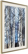 Αφίσα - Winter Birch Trees - 40x60 - Χρυσό - Με πασπαρτού