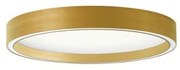 Πλαφονιέρα Φωτιστικό Οροφής LED 30W 3000K/4000K Φ40 Vanessa Viokef 4292701 Χρυσό