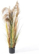 Τεχνητό Φυτό Χορτάρι Pennisetum 2201-6 152cm Green Supergreens PVC