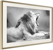 Αφίσα - Yawning Lion - 60x40 - Χρυσό - Με πασπαρτού