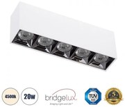 Επίτοιχο Σποτ Downlight LED TrimLess 20W Λευκό Κάτοπτρο Χρωμίου 4500K LUMINAR SUPERIOR 60330 Globostar 60330 Λευκό