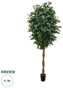 20432 GloboStar®  Artificial Garden FICUS BENJAMINA TREE 20432 Τεχνητό Διακοσμητικό Φυτό Φίκος Μπενζαμίνη Υ300cm