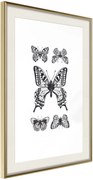 Αφίσα - Butterfly Collection IV - 40x60 - Χρυσό - Με πασπαρτού