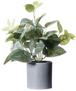 Τεχνητό Φυτό Πόλκα 36 εκ. 2460-6 Supergreens-2460-6-Πράσινο 2460-6