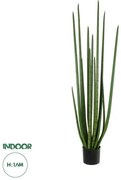 Artificial Garden SANSEVIERIA CYLINDRICA 20211 Τεχνητό Διακοσμητικό Φυτό Σανσεβιέρια Υ160cm Globostar 20211