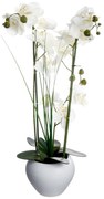 Τεχνητό Λουλούδι Σε Γλάστρα (Φ47x56) A-S White Orchid 136510B