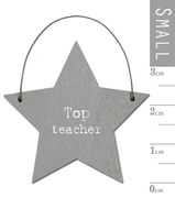 Επιγραφή αστεράκι - Top teacher