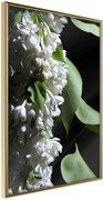 Αφίσα - Fragrant Spring - 40x60 - Χρυσό - Χωρίς πασπαρτού