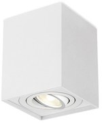 Φωτιστικό Σποτ Braytron BH04-00310 Λευκό (White)