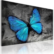 Πίνακας - The study of butterfly - 120x80