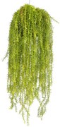 Foliage - Branch Eladro 5000100-00N3