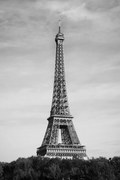 Φωτογραφία Eiffel Tower - Tour Eiffel, Studio Collection