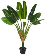 Plant in Pot Eladro Πουλί του παραδείσου 2111330-00N3
