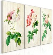 Πίνακας - Floral Trio (Collection) - 120x60