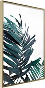 Αφίσα - Evergreen Palm Leaves - 40x60 - Χρυσό - Χωρίς πασπαρτού