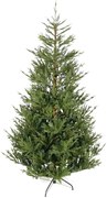 Χριστουγεννιάτικο δέντρο Fir 210cm - 2590 κλαδιά πράσινο