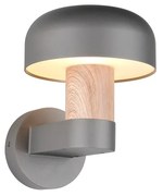 Φωτιστικό Επίτοιχο Trio Lighting FRASER 262560135 Απομίμηση Ξύλου (Wood Imitation)