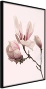 Αφίσα - Blooming Magnolias II - 40x60 - Μαύρο - Χωρίς πασπαρτού