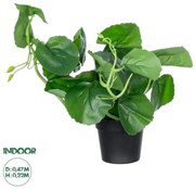 Artificial Garden BELL PLANT 20957 Διακοσμητικό Φυτό Σεφλέρα Φ47 x Υ22cm Globostar 20957