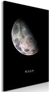 Πίνακας - Moon (1 Part) Vertical - 40x60