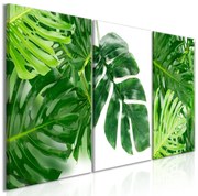 Πίνακας - Palm Leaves (3 Parts) 120x60