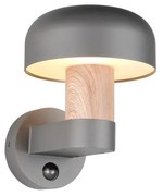 Φωτιστικό Επίτοιχο Trio Lighting FRASER 262569135 Απομίμηση Ξύλου (Wood Imitation)