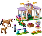 Εκπαίδευση Αλόγων 41746 Friends 134τμχ 4 ετών+ Multicolor Lego