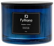 ΑΡΩΜΑΤΙΚΟ ΚΕΡΙ Fylliana FL1180 ”ΒΑΜΒΑΚΙ” ΣΕ ΓΥΑΛΙΝΟ ΒΑΖΑΚΙ 325gr ΚΑΙ ΣΥΣΚΕΥΑΣΙΑ ΔΩΡΟΥ ΜΠΛΕ ΧΡΩΜΑ 8x10.5εκ 394-125-009