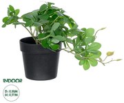 Artificial Garden SCHEFFLERA PLANT 20954 Διακοσμητικό Φυτό Σεφλέρα Φ18 x Υ17cm Globostar 20954