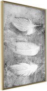 Αφίσα - Delicate Feathers - 40x60 - Χρυσό - Χωρίς πασπαρτού