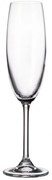 Ποτήρι Σαμπάνιας Κολωνάτο 220ml Crystal Bohemia Colibri