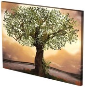 Πίνακας Σε Καμβά MH54 60x80cm Multi Οριζόντιοι Καμβάς