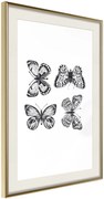 Αφίσα - Butterfly Collection III B - 40x60 - Χρυσό - Με πασπαρτού