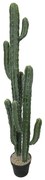Τεχνητό Φυτό Εφόρμπια 5101-6 143cm Green Supergreens Πολυαιθυλένιο