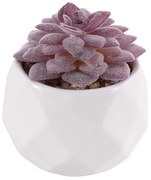 Τεχνητό Φυτό Σε Κασπώ Sedeveria 21005 Φ7x8cm Purple-White GloboStar Πηλός,Πολυαιθυλένιο