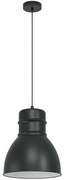 Φωτιστικό Οροφής 43621 Ebury 1/E27 Black Eglo Metal