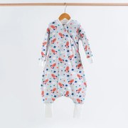 Χειμερινός Υπνόσακος Με Πόδια 2.5 Tog (6-18 Μηνών) Abo Flexy Space